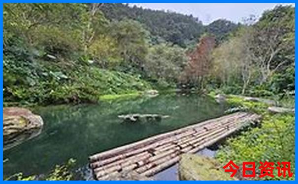 甘肃陇南有哪些景点
